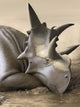 Xenoceratops Foremostensis Relaxing Mud Wall Decal