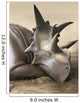 Xenoceratops Foremostensis Relaxing Mud Wall Decal