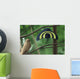 Male Xiaotingia Zhengi Bird Wall Decal
