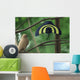 Male Xiaotingia Zhengi Bird Wall Decal