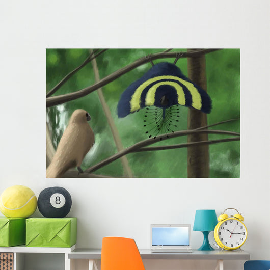 Male Xiaotingia Zhengi Bird Wall Decal
