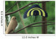 Male Xiaotingia Zhengi Bird Wall Decal