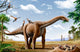 Rapetosaurus Feeding Leaves with Wall Decal