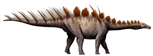Miragaia Longicollum Stegosaurid Jurassic Wall Decal