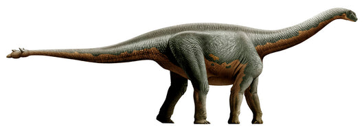 Shunosaurus Genus Sauropod Dinosaur Wall Decal