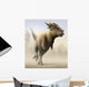 Stygimoloch Genus Pachycephalosaurid from Wall Decal