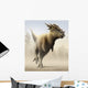 Stygimoloch Genus Pachycephalosaurid from Wall Decal