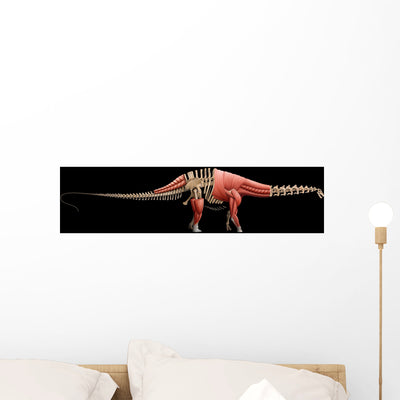 Apatosaurus Skeleton and Muscles Wall Decal shown on a wall