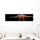 Apatosaurus Skeleton and Muscles Wall Decal