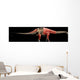 Apatosaurus Skeleton and Muscles Wall Decal