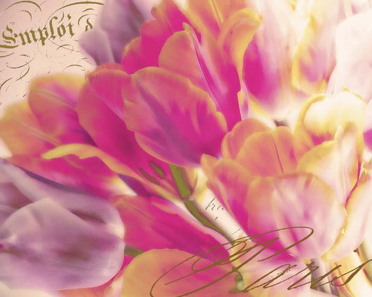 Tulip Glow Wall Mural