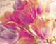 Tulip Glow Wall Mural
