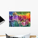Tulip Farm Wall Mural