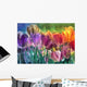 Tulip Farm Wall Mural