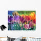 Tulip Farm Wall Mural