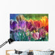 Tulip Farm Wall Mural