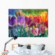 Tulip Farm Wall Mural