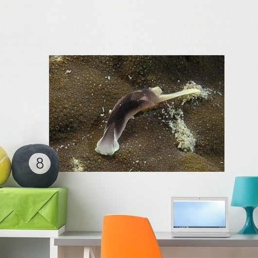 Brown and Yellow Folded Wall Decal