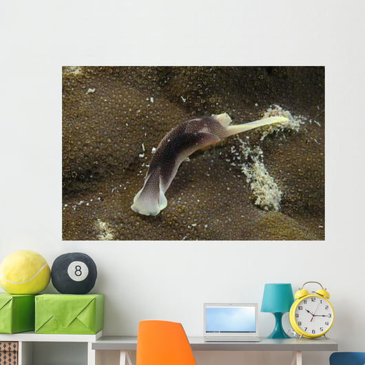 Brown and Yellow Folded Wall Decal