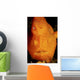 Face Shot Orange Frogfish Wall Decal