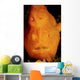 Face Shot Orange Frogfish Wall Decal