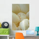 Spotted Cleaner Shrimp Beige Wall Decal