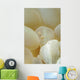 Spotted Cleaner Shrimp Beige Wall Decal