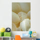 Spotted Cleaner Shrimp Beige Wall Decal