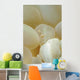 Spotted Cleaner Shrimp Beige Wall Decal