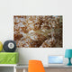 White Porcelain Crab Beige Wall Decal