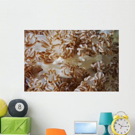 White Porcelain Crab Beige Wall Decal