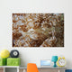 White Porcelain Crab Beige Wall Decal