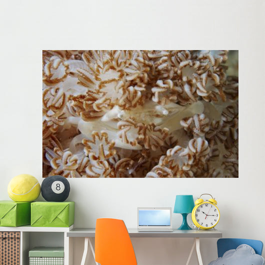 White Porcelain Crab Beige Wall Decal