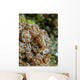 Tiny Cryptic Brown and Wall Decal