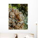 Tiny Cryptic Brown and Wall Decal
