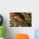 Head Shot Pink Pipefish Wall Decal