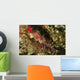 Head Shot Pink Pipefish Wall Decal