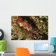 Head Shot Pink Pipefish Wall Decal