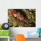 Head Shot Pink Pipefish Wall Decal