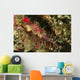 Head Shot Pink Pipefish Wall Decal