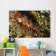 Head Shot Pink Pipefish Wall Decal