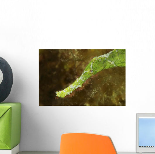 Headshot Green Helimeda Ghost Wall Decal