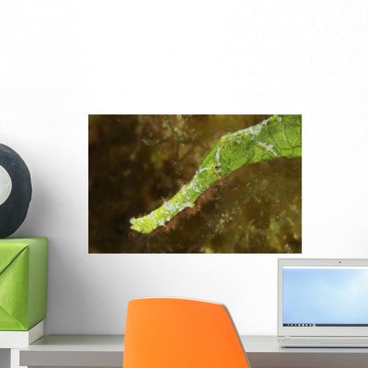Headshot Green Helimeda Ghost Wall Decal
