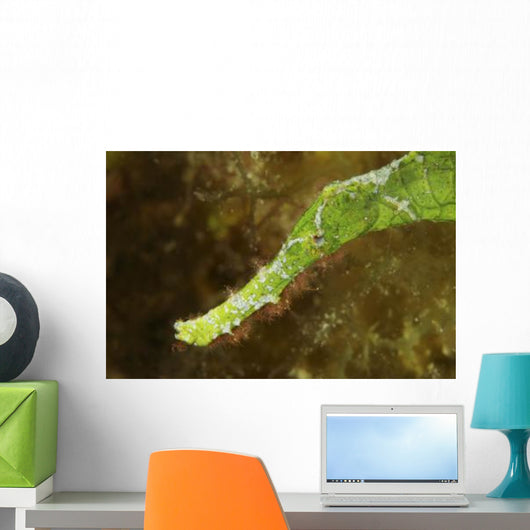 Headshot Green Helimeda Ghost Wall Decal