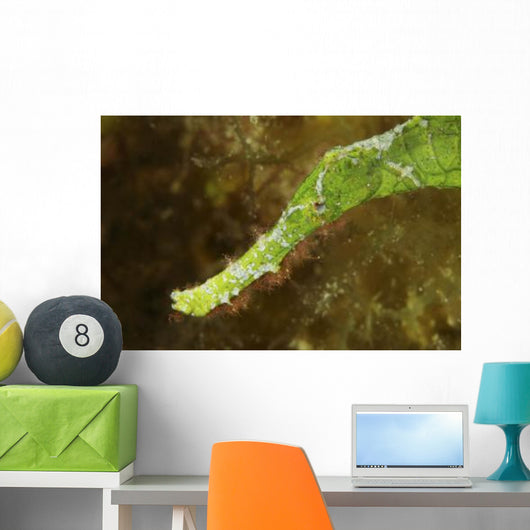Headshot Green Helimeda Ghost Wall Decal