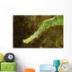 Headshot Green Helimeda Ghost Wall Decal