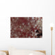 Translucent Red Shrimp Pink Wall Decal