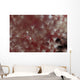 Translucent Red Shrimp Pink Wall Decal