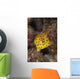 Yellow Boxfish North Sulawesi Wall Decal