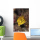 Yellow Boxfish North Sulawesi Wall Decal